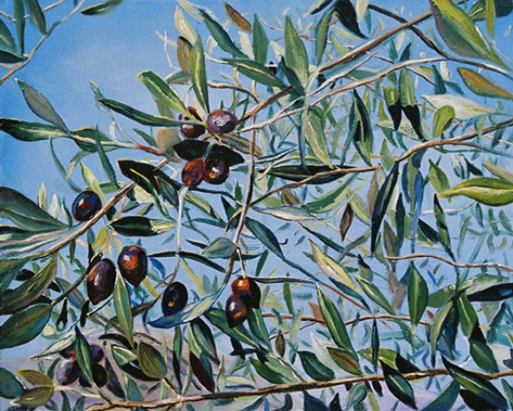 Georgia’s Olive Trees